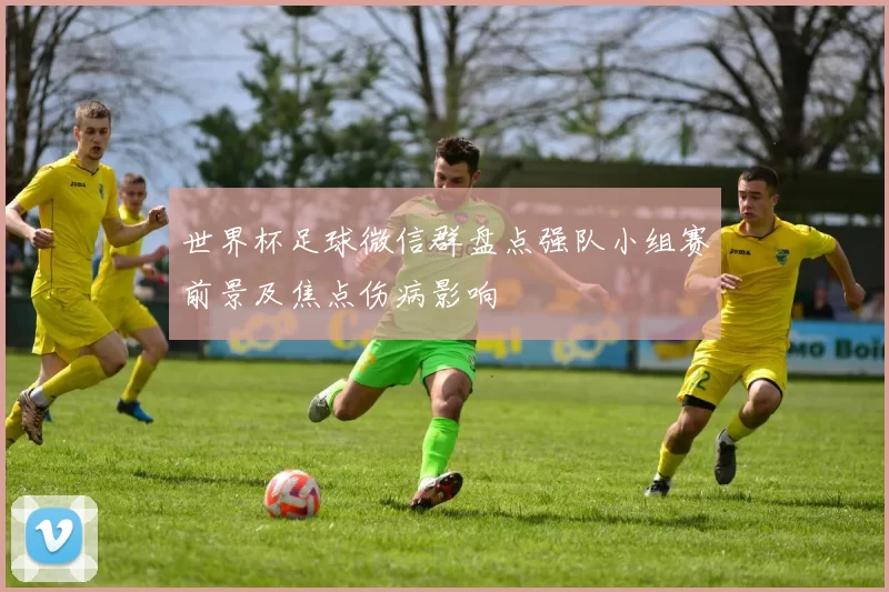 世界杯足球微信群盘点强队小组赛前景及焦点伤病影响