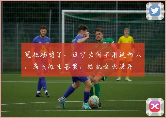 冤枉杨鸣了，辽宁为何不用这两人，乌戈给出答案，给机会也没用