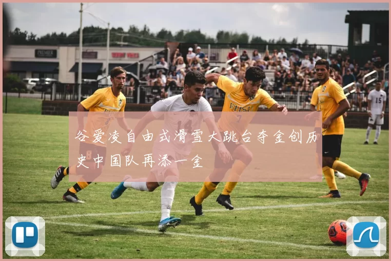 谷爱凌自由式滑雪大跳台夺金创历史中国队再添一金