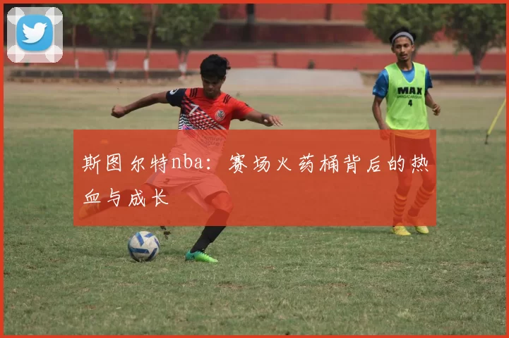 斯图尔特nba：赛场火药桶背后的热血与成长